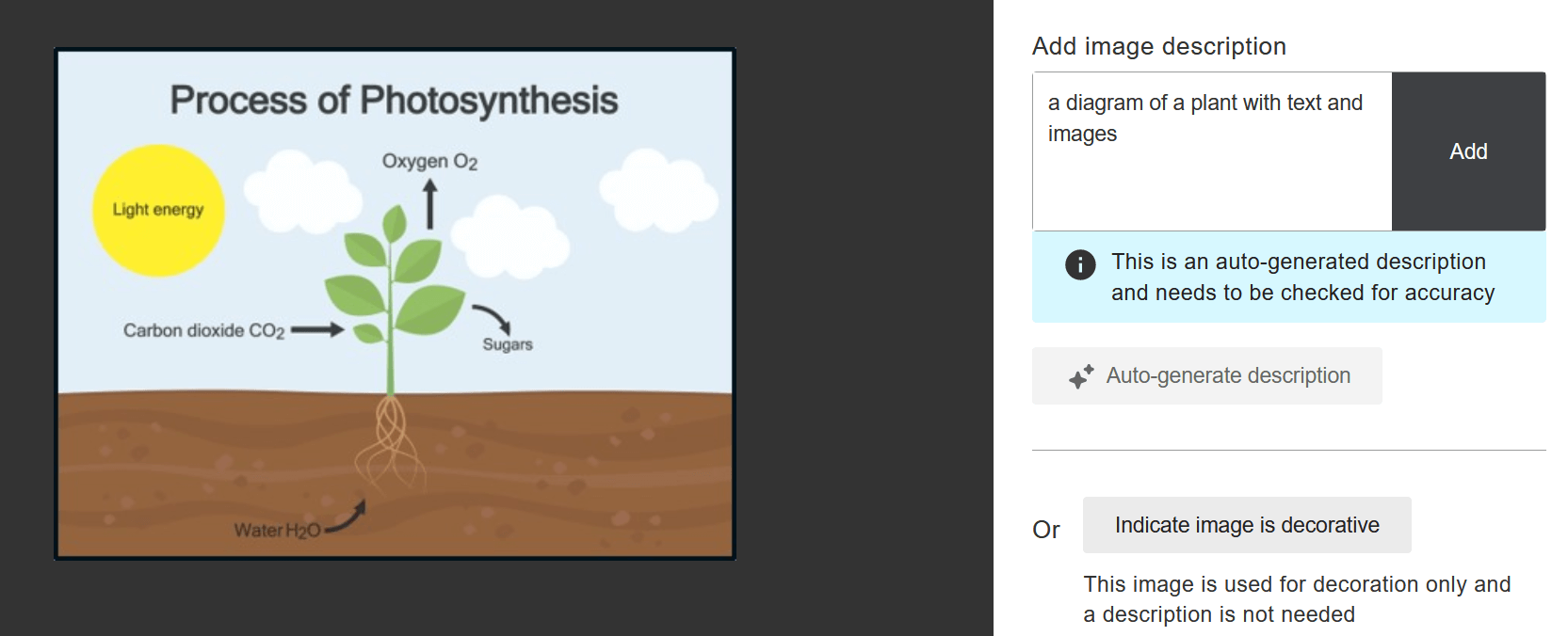 For the same process of photosynthesis diagram, Ally suggested the following alt text: 'A diagram of a plant with text and images'.